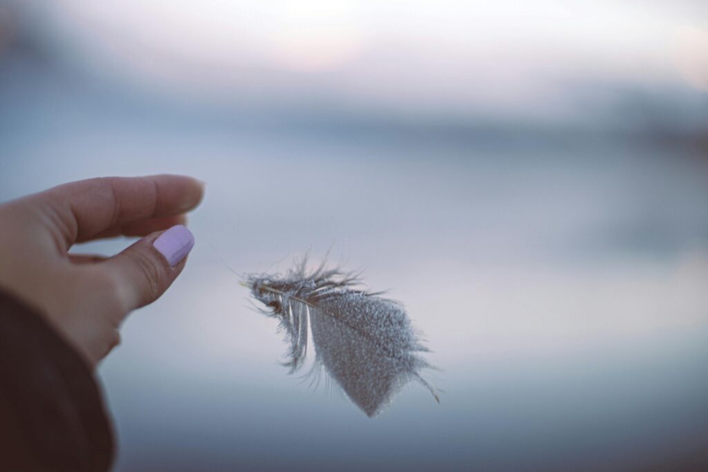 A soft feather delicately held against a winter backdrop in San Carlos de Bariloche.